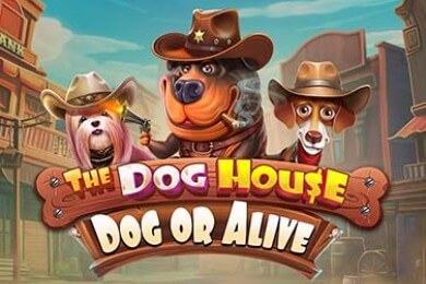 Thedoghousedogoralive автомат Пеликан Казино